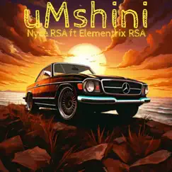 UMshini - Single (feat. Elementrix RSA) - Single by Nyce RSA album reviews, ratings, credits