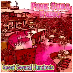 Spent Several Hundreds by Pink Soda Radio album reviews, ratings, credits