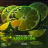 Slices of Lime - Single album lyrics, reviews, download