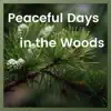 Peaceful Days in the Woods album lyrics, reviews, download