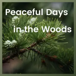 Peaceful Days in the Woods by Forest Sounds Channel album reviews, ratings, credits