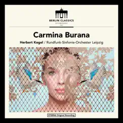 Carmina Burana, III. Cour d'amours: No. 18, Circa mea Pectora Song Lyrics