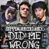 Did Me Wrong (feat. Naz Fontaine, JahSmoov & Lone Ranger) - Single album lyrics, reviews, download