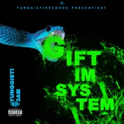 Gift im System - Single by 3AM & yunggisti album reviews, ratings, credits