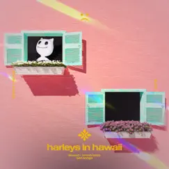 Harleys In Hawaii (Slowed + Reverb) Song Lyrics