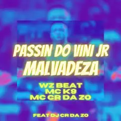 Passin do Vini Jr Malvadeza (feat. Dj CR da ZO) Song Lyrics