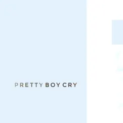 Pretty Boy Cry - Single by Liam Stibbs album reviews, ratings, credits