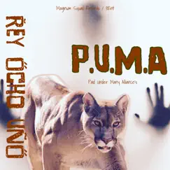 P.U.M.A (instrumental) - Single by REY Ocho UNO album reviews, ratings, credits