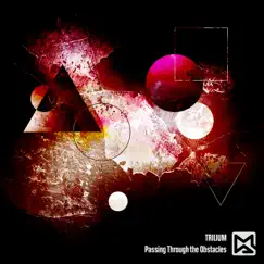 Passing Through the Obstacles - Single by Trilium album reviews, ratings, credits
