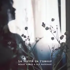 La Vérité De l'amour - Single by Moaaz Hamed & Ali Baghdady album reviews, ratings, credits