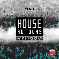House Rumours, Vol. 3 (Rhythm of Underground) by Various Artists album reviews, ratings, credits
