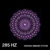 285 Hz Enhance Immune System album lyrics, reviews, download