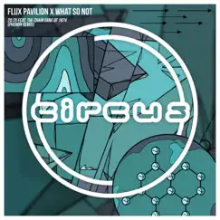 20:25 (feat. The Chain Gang of 1974) [phonon Remix] - Single by Flux Pavilion & What So Not album reviews, ratings, credits