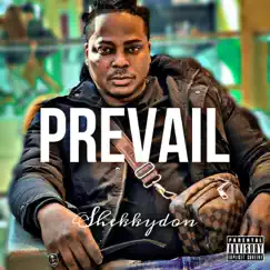 Prevail - Single by Shekkydon album reviews, ratings, credits