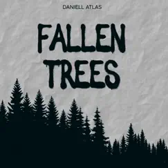 Fallen Trees Song Lyrics