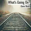 What's Going on? song lyrics