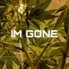 IM Gone - Single album lyrics, reviews, download