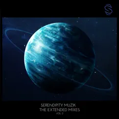 Serendipity Muzik - The Extended Mixes Vol. 2 by Various Artists album reviews, ratings, credits