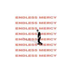 Endless Mercy - Single by Brandon Oaks album reviews, ratings, credits
