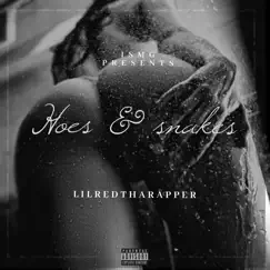 Hoes and Snakes Song Lyrics