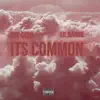Its Common (freestyle) (feat. Big Ochi) - Single album lyrics, reviews, download
