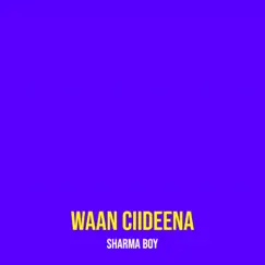 Waan Ciideena - Single by Sharma Boy album reviews, ratings, credits