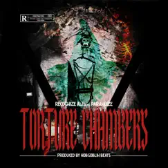 Torture Chambers (feat. Paranoize) - Single by Recognize Ali album reviews, ratings, credits
