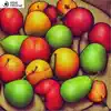 Fruits - Single album lyrics, reviews, download