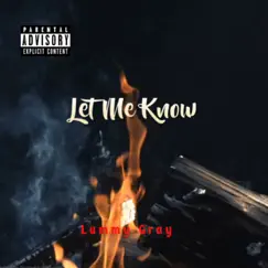 Let Me Know - Single by Lummy gray album reviews, ratings, credits