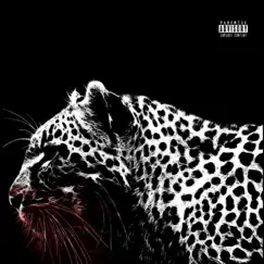 Did It Again - Single by 570JV album reviews, ratings, credits
