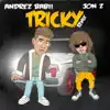 Tricky (Remix) - Single album lyrics, reviews, download