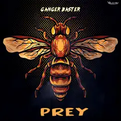 Prey - Single by Ganger Baster album reviews, ratings, credits