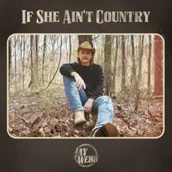 If She Ain't Country Song Lyrics