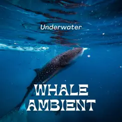 Underwater Whale Ambient by Echoes Of Nature, Underwater Sounds Channel & Water Soundscapes album reviews, ratings, credits