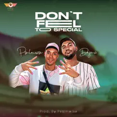 Don't Feel Too Special (feat. Dejiavo) - Single by Psalmwise album reviews, ratings, credits