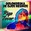 Golondrina de Ojos Negros album lyrics, reviews, download