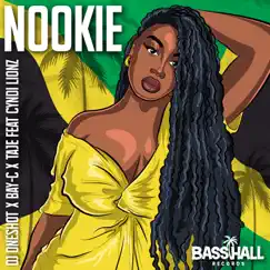 Nookie (feat. Cyndi Lionz) Song Lyrics