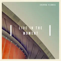 Live in the Moment - Single by Joshua Flores album reviews, ratings, credits