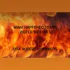 What Happened To the World We Love? - Single album lyrics, reviews, download