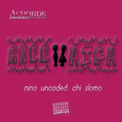 Knee High (feat. NINO GAMBINO, UNCODED, CHI & SLOMOTION) - Single by HOUZE OF BANGERZZ album reviews, ratings, credits