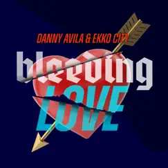 Bleeding Love (Club Mix) Song Lyrics