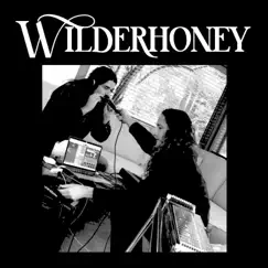 Wilderhoney - EP by The Wild Honey Collective album reviews, ratings, credits