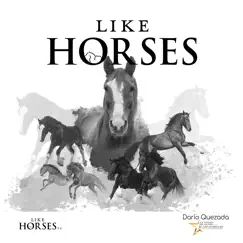 Like Horses Song Lyrics