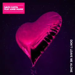 Don't Leave Me Alone (feat. Anne-Marie) Song Lyrics