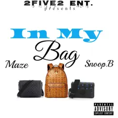 In My Bag (feat. Snoop B) Song Lyrics