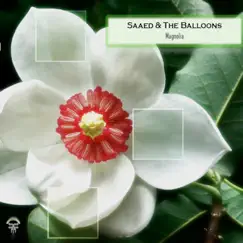 Magnolia - Single by Saaed & The Balloons album reviews, ratings, credits