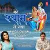 Mere Shyam Le Gaya - Single album lyrics, reviews, download