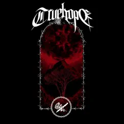 Lost - Single by Truehope album reviews, ratings, credits