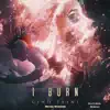 I Burn (feat. Berzan) [Metal Version] - Single album lyrics, reviews, download
