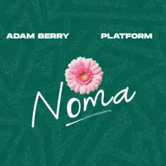 Noma (feat. Platform) Song Lyrics